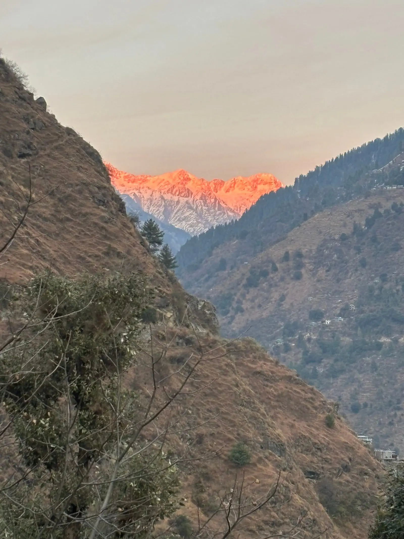 Sunset alpenglow on the peaks above Tirthan Valley