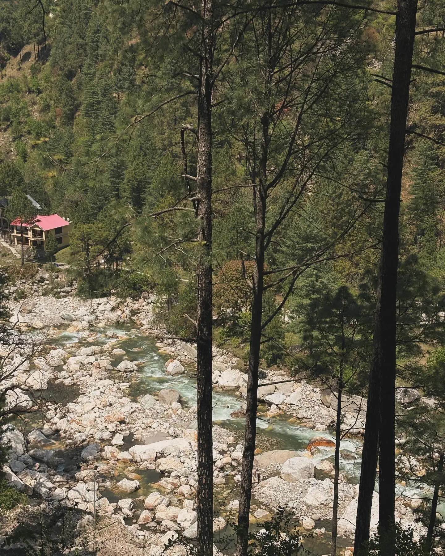 Looking down on the retreat from the forest trail